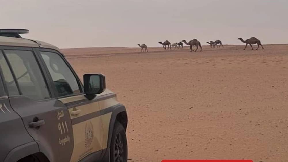 ضبط مخالفين لنظام البيئة