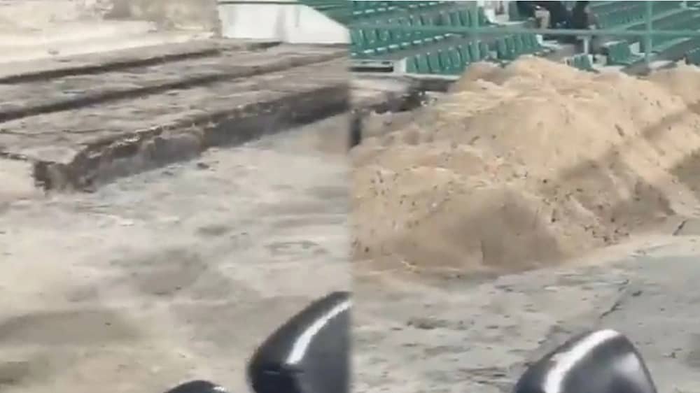 WhatsApp Image 2026-01-07 at 11.25.06 PM.jpeg