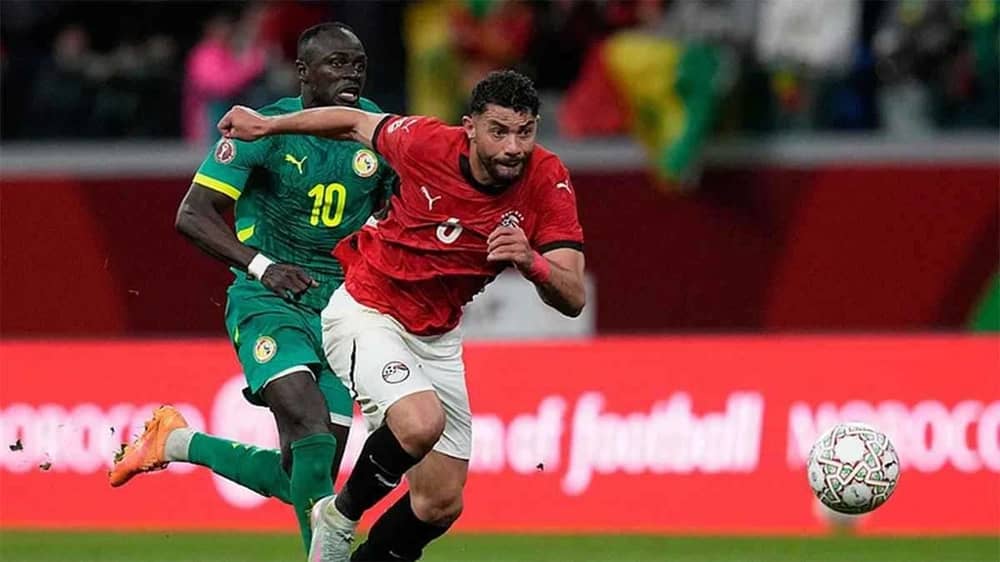 WhatsApp Image 2026-01-16 at 10.01.48 PM.jpeg