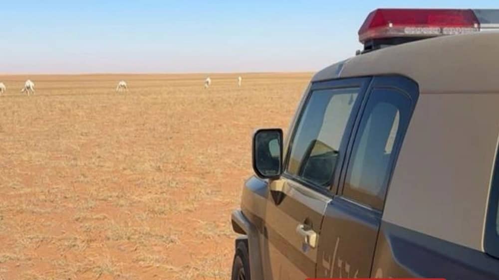 WhatsApp Image 2026-01-17 at 1.52.33 PM.jpeg