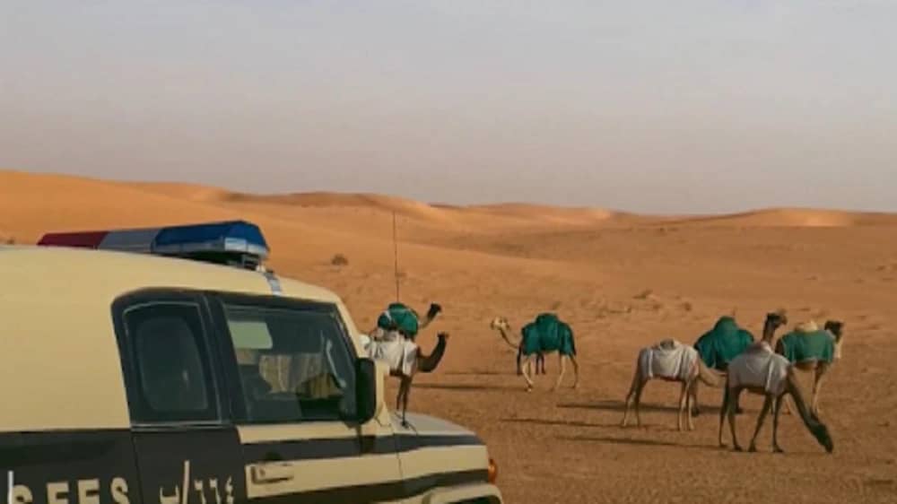 ضبط 29 مخالفًا لنظام البيئة في عدة مناطق .. فيديو