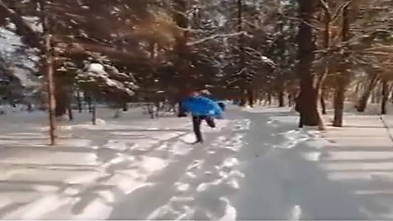 شاهد.. طائرة درون ترصد محاولة شاب للنجاة بحياته من "دب"