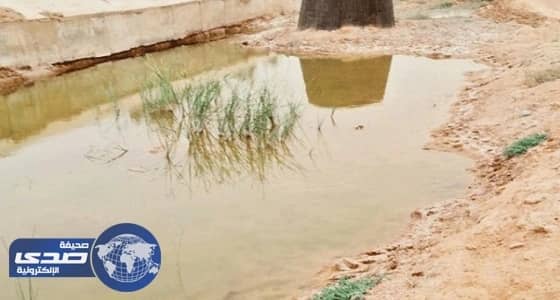 مياه حائل تتبرأ من ثعابين وعقارب وادي الأديرع