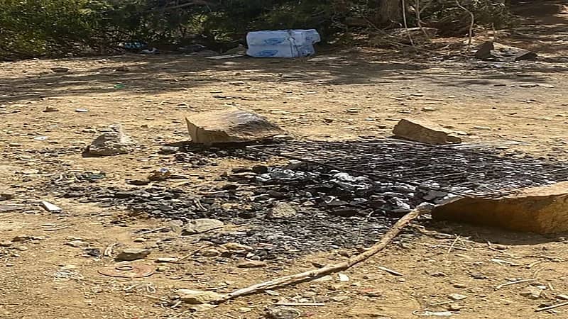 ضبط مخالف لنظام البيئة في عسير