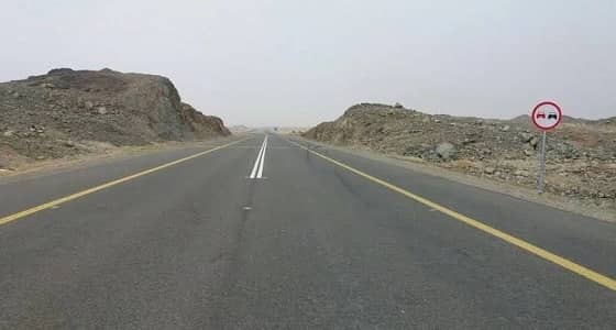 ارتفاع عدد ضحايا حادث طريق الرين إلى 13 متوفيا