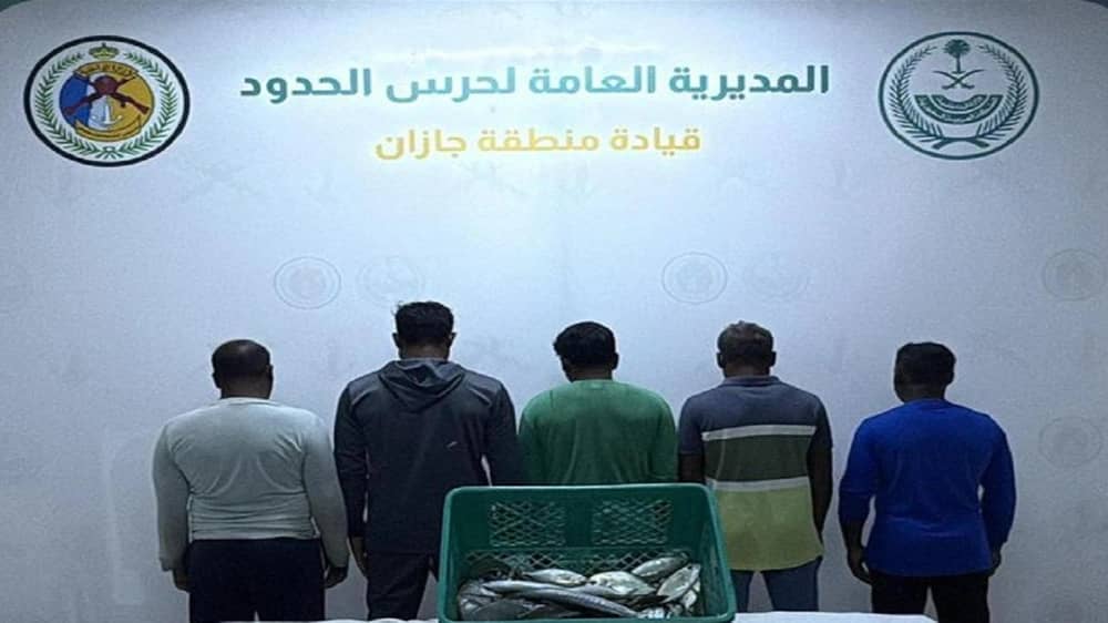 ضبط 5 مخالفين للائحة الأمن والسلامة لمزاولي الأنشطة البحرية