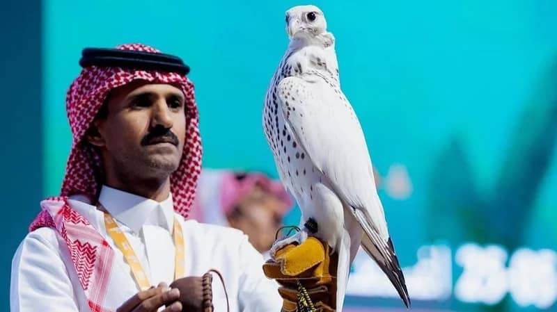 بيع أغلى صقر في مزاد الرياض بـ 550 ألف ريال .. فيديو