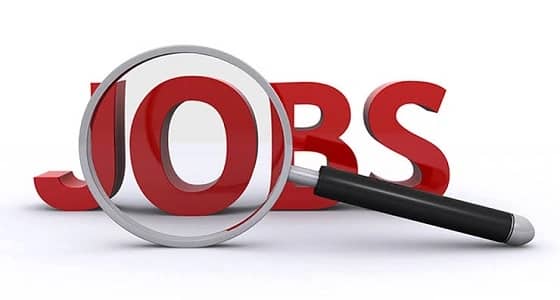 براتب 18 ألف ريال.. وظيفة شاغرة في منظمة دولية 