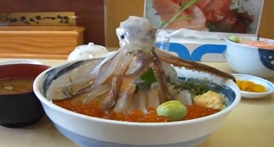 بالفيديو.. مطعم يبهر زواره بأطعمه تتحرك ذاتيا بعد طهيها