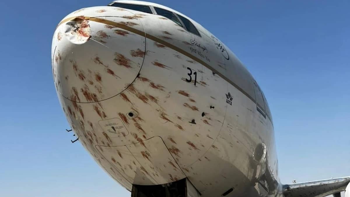 طائرة تابعة للخطوط سعودية تصطدم بسرب طيور قبل هبوطها في جدة .. صور