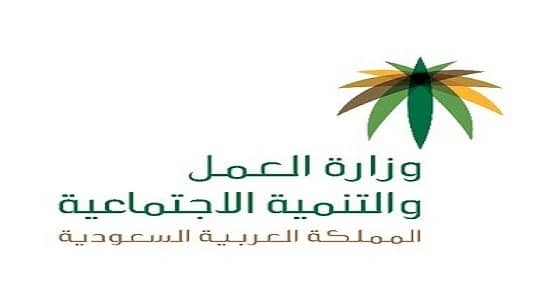 إعفاء المنشآت الصغيرة من دفع المقابل المالي لمدة 5 سنوات