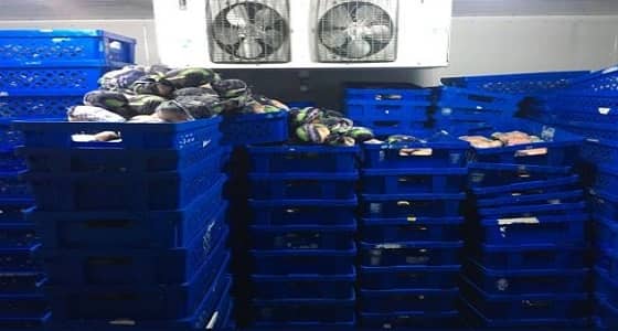 " بلدية العيون " تضبط مستودع لأحد المطاعم يستخدم دجاج فاسد