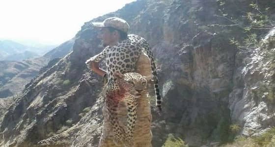 بالصور.. أبطال الحد الجنوبي يتصدون إلى نمور عربية هاجمتهم