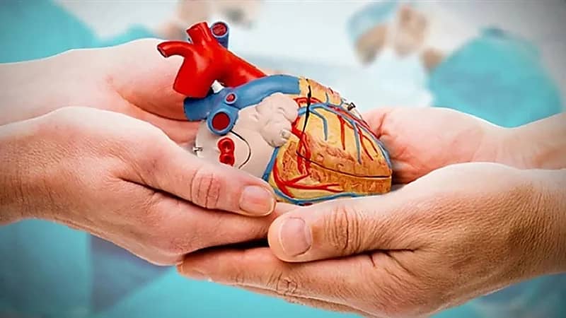 بعد تسجيل خادم الحرمين وولي العهد.. تعرف على طريقة التسجيل في برنامج التبرع بالأعضاء