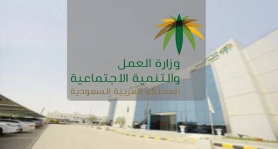 " العمل " توضح عدد العمالة المنزلية المسموح لمستفيدي الضمان باستقدامها