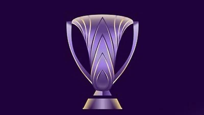 الاتحاد الآسيوي: شاندونغ تايشان الصيني يعتبر منسحبًا من أبطال آسيا للنخبة