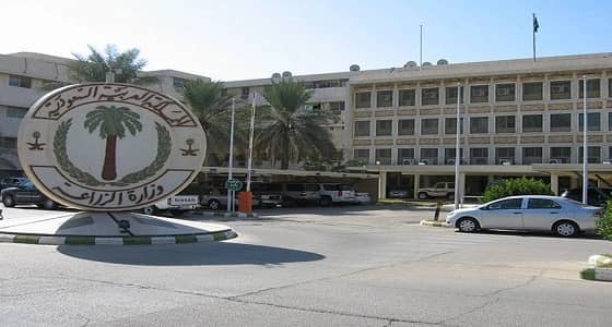 " الزراعة " تتخلص من 400 ألف دجاجة مصابة بأنفلونزا الطيور