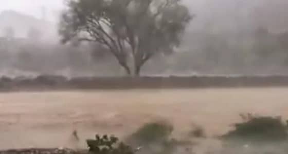 بالفيديو.. توقعات الأرصاد لطقس غدًا الأحد