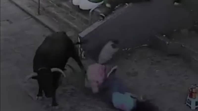 ثور هائج يتسبب بحالة من الهلع ويصيب 5 أشخاص في الشارع .. فيديو