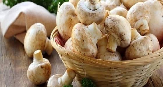 التناول المنتظم للفطر يبعد عن الرجال سرطان البروستاتا