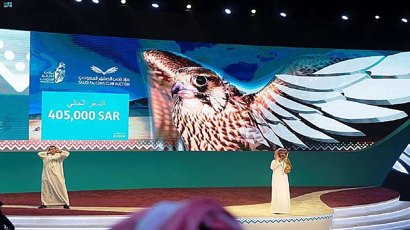 بالصور.. أغلى صقر في مزاد نادي الصقور السعودي الثاني