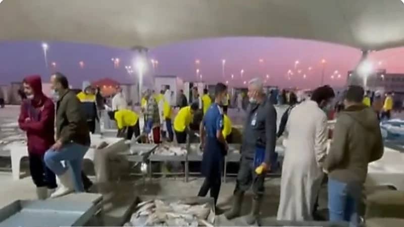 شاهد.. خلاف وفوضى في أول يوم بسوق الأسماك الجديد بالقطيف