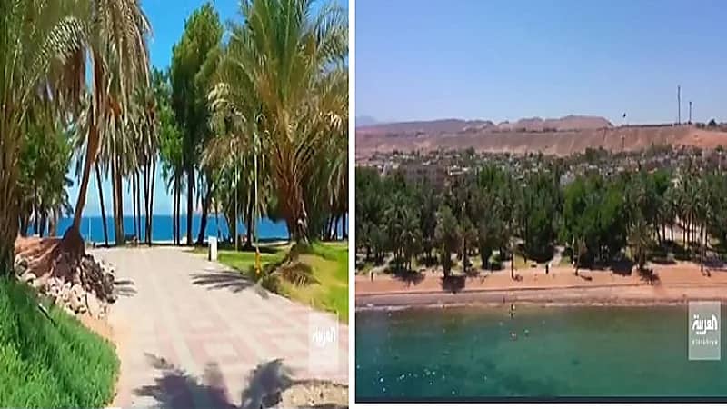 بالفيديو ..مشاهد خلابة من حديقة النخيل أقدم منتزهات محافظة حقل