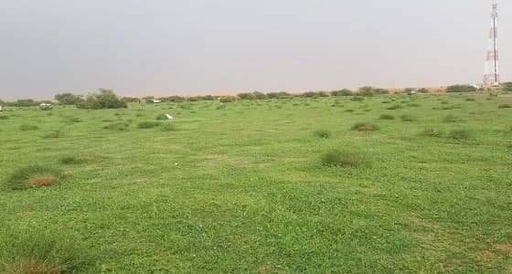 بالفيديو والصور.. التنهات تنتظر المتنزهين