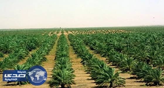 خلو عينات المنتجات الزراعية من متبقيات المبيدات