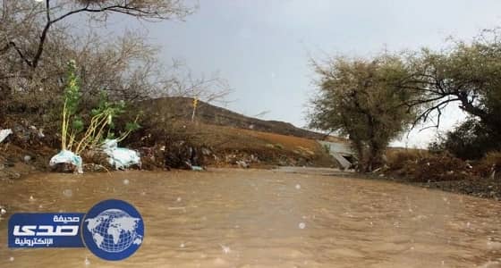 أمطار غزيرة إلى متوسطة على عقيق الباحة