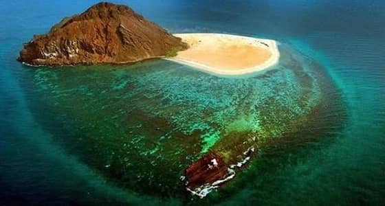 بالصور.. " كدمبل " جزيرة جبلية  لهواة الصيد بالبحر الأحمر