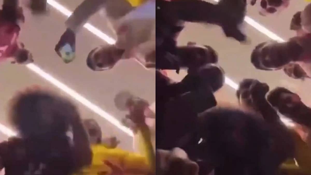 احتفال لاعبي قطر الغريب بعد التأهل للمونديال يثير الجدل.. فيديو