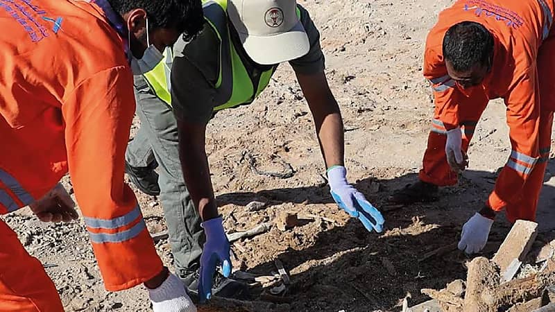 بالصور.. إزالة 35 طن نفايات بشواطئ تعشيش السلاحف البحرية