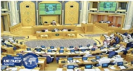 " الشورى " يستنكر وضع حد أدنى وأقصى لفترة التجربة للموظف