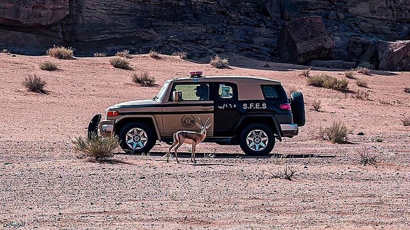 ضبط مقيم ومواطن مخالفين لنظام البيئة