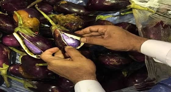 بالصور.. " الجمارك " تحبط تهريب 174 ألف حبة كبتاجون داخل إرسالية " باذنجان "