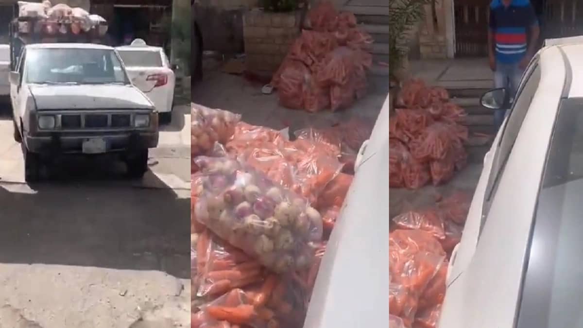 ضبط صاحب المركبة الذي ظهر يُعبئ كميات كبيرة من الخضار
