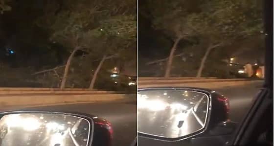 بالفيديو.. تساقط الأشجار بمكة نتيجة شدة الرياح