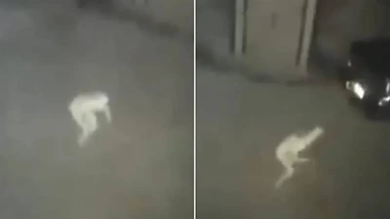 عفريت يتجول داخل جراج منزل ليلا