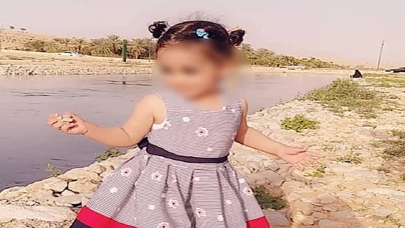 5 كلاب ضالة تفترس طفلة بالرياض