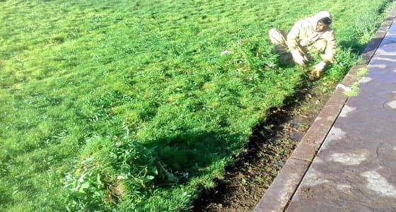 بالصور.. " أمانة نجران " تواصل أعمالها في صيانة المسطحات الخضراء