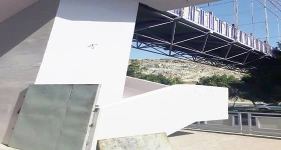 سائق يقتل طالبة في مكة بدهسها ويفر هاربا