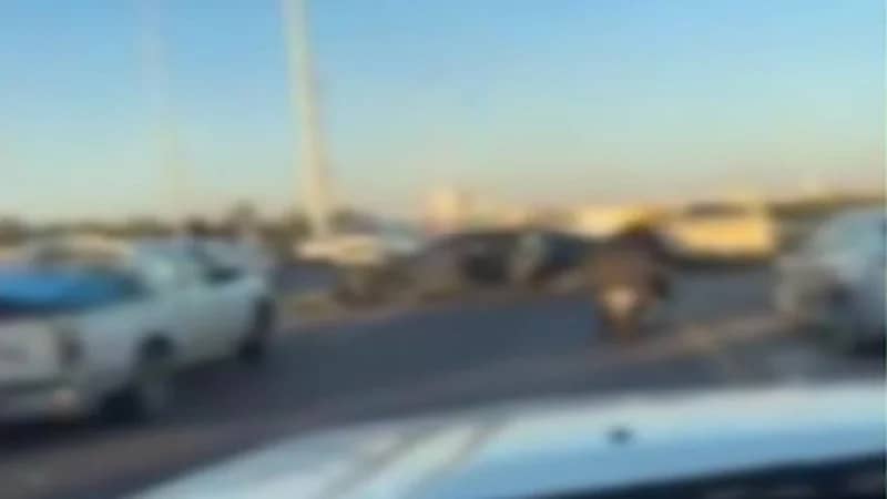 حادث اصطدام مروع لـ 5 مركبات في بريدة