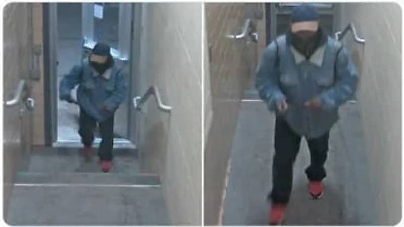 مقتل 3 أشخاص وإصابة 5 آخرين في حادث إطلاق نار بجامعة أمريكية