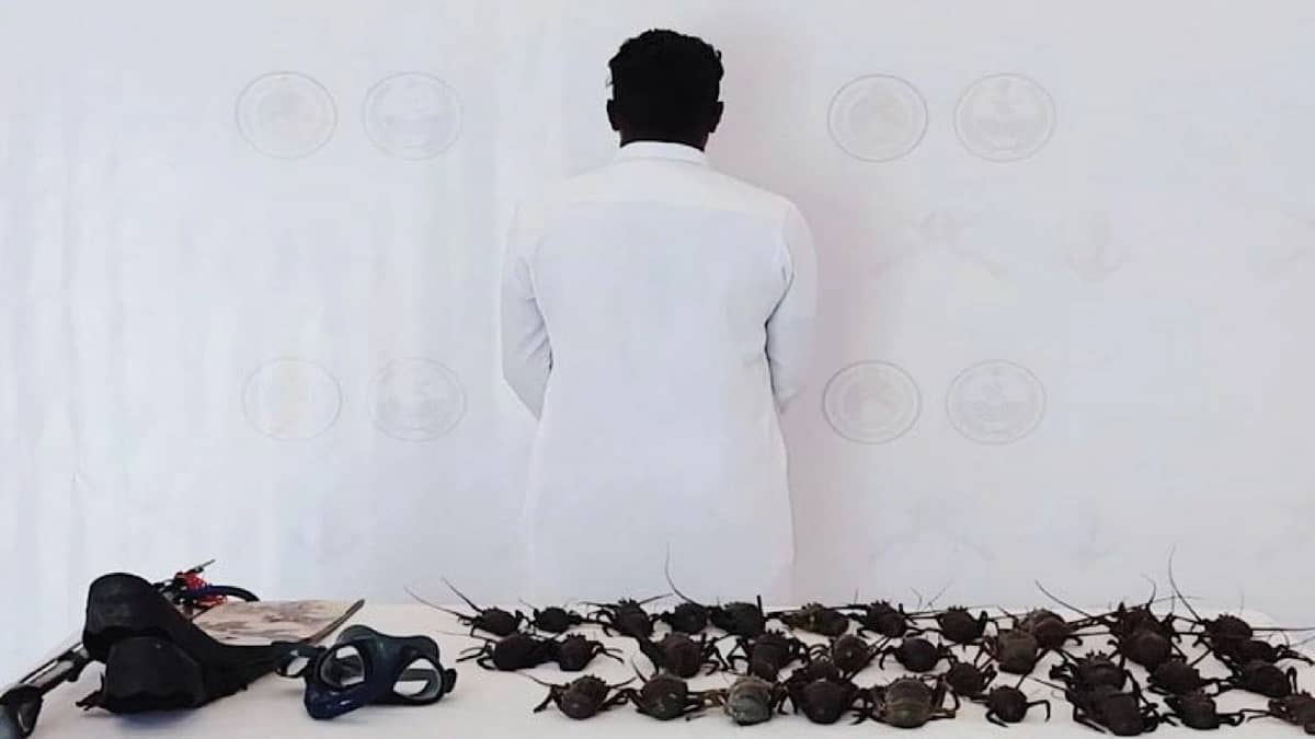 ضبط مواطن يمارس الصيد المخالف في أملج