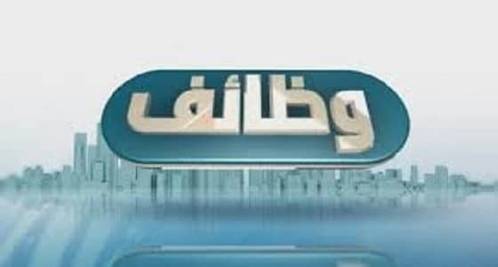 شركة توفر 55 وظيفة بـ5 محافظات