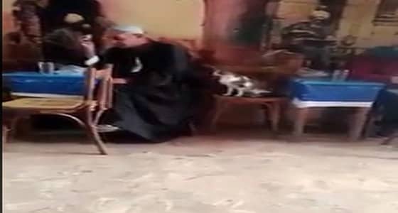 بالفيديو.. قساوة قلب رجل على قط جائع