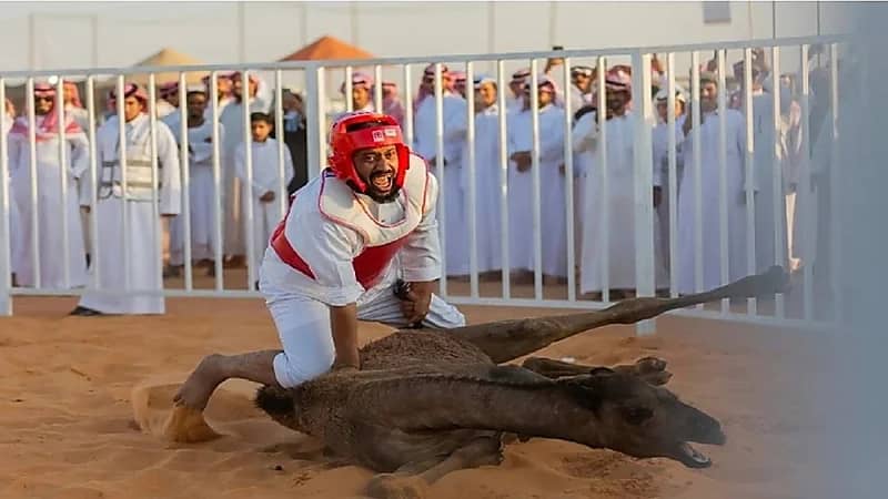 شاهد.. فعاليات مسابقة طرح القعود في مهرجان مزاد الإبل