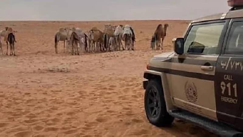 ضبط مواطن مخالف لنظام البيئة لارتكابه مخالفة رعي في محمية الإمام عبدالعزيز بن محمد الملكية