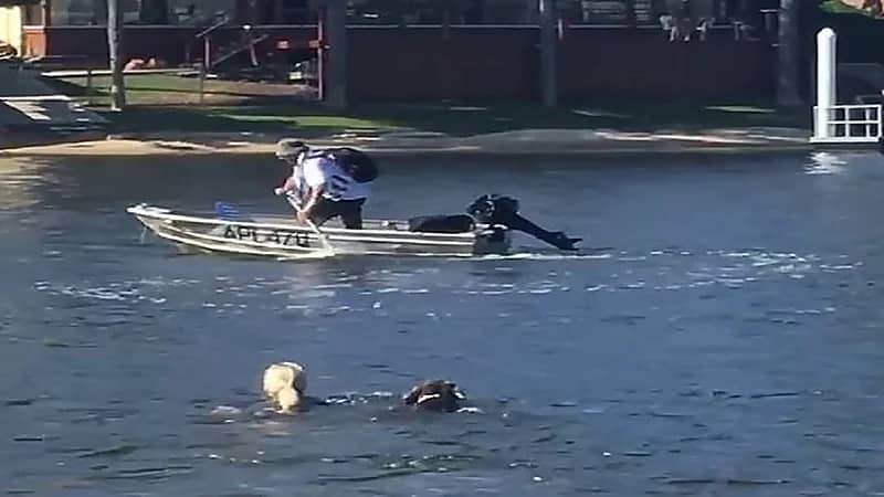 بالصور.. أم تقفز في المياه وتطارد لص حاول سرقة قارب ابنها